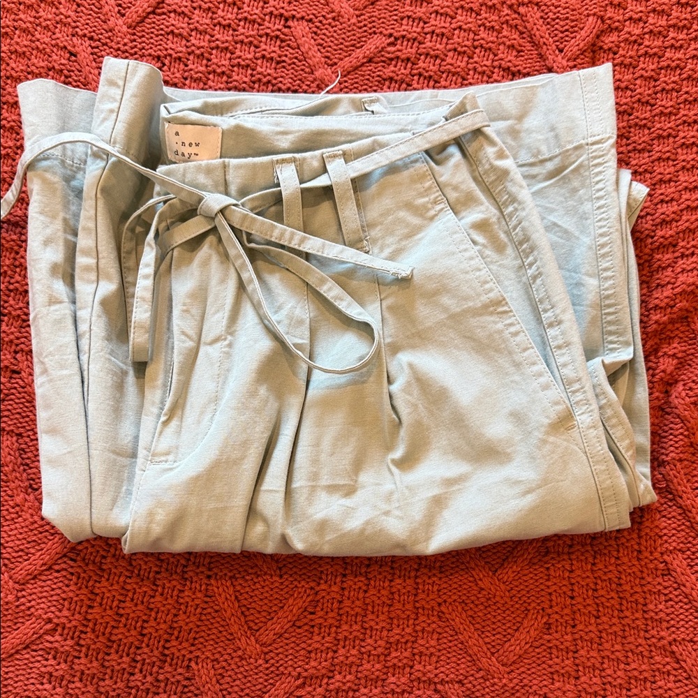 Target Wide Leg Mint Trousers